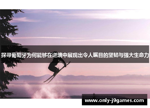 探寻葡萄牙为何能够在逆境中展现出令人瞩目的坚韧与强大生命力