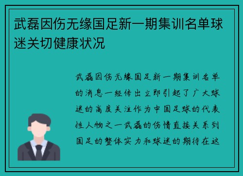 武磊因伤无缘国足新一期集训名单球迷关切健康状况 武磊因伤无缘国足新一期集训名单球迷关切健康状况